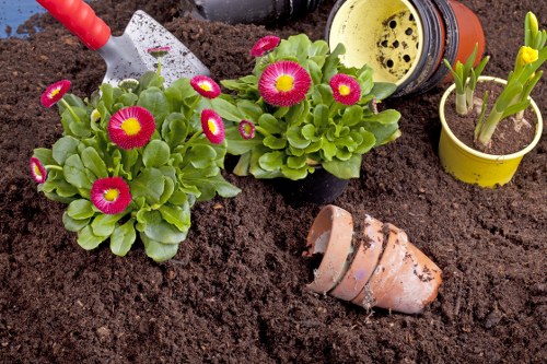 Gardener carrying out safe site preparation before garden maintenance
