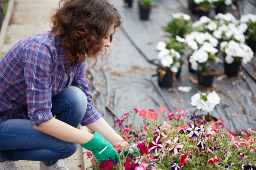 Rainham gardeners caring for a local garden landscape