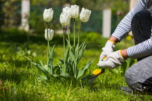 Professional gardening services in Rainham for tidy lawns and borders