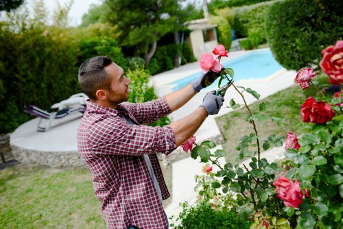 Team applying careful safety checks during routine gardening work