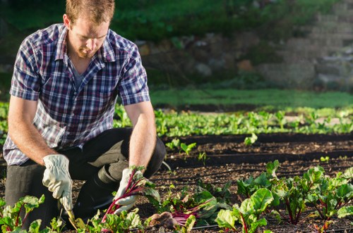 Gardeners Rainham modern slavery statement introduction