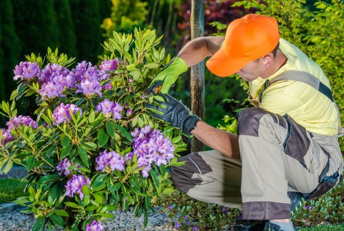 Gardeners in Rainham improving a well-kept lawn and borders