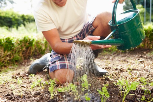 Accessible Gardeners Rainham support and request information image