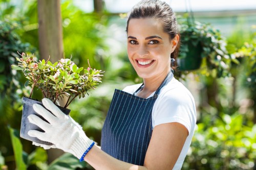 Rainham garden care work during seasonal outdoor upkeep