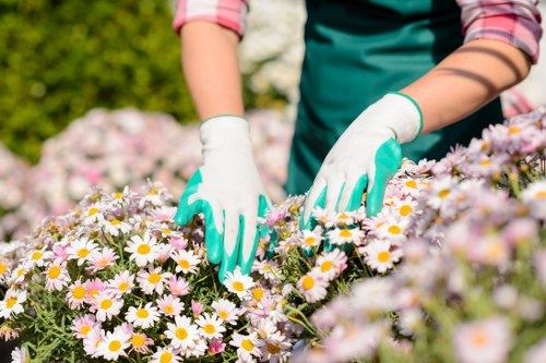 Professional garden clearance preparing a Rainham property