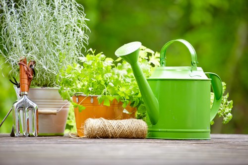 Local lawn mowing service maintaining a garden in Rainham