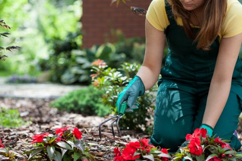 Professional gardeners in Rainham restoring a tidy garden layout
