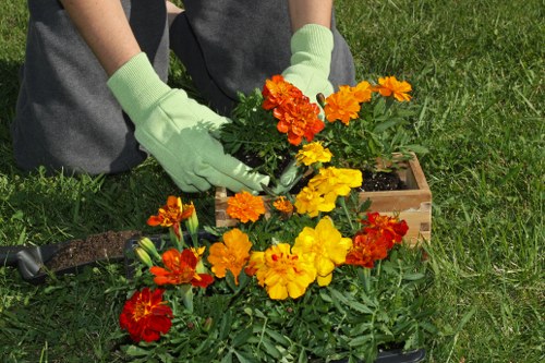Rainham garden landscaping with patio and planting