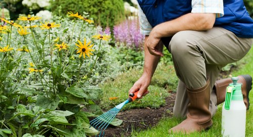 Trained gardener using safety equipment during outdoor work