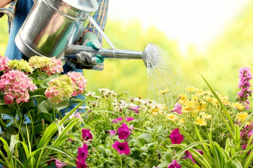 Lawn and hard landscaping maintenance in a Rainham garden