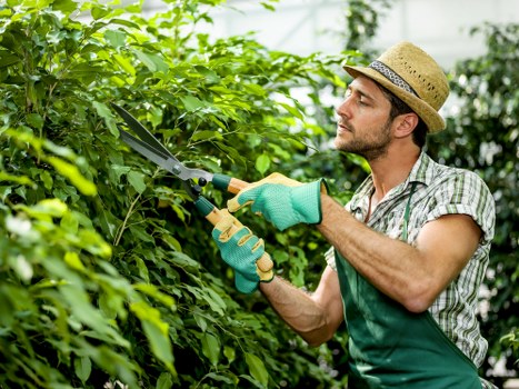 Clearing brambles and debris from a Rainham garden
