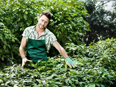 Gardener reviewing safety measures before continuing outdoor work