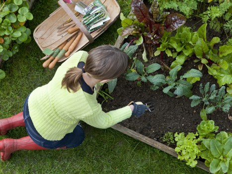 Rainham garden design featuring pathways, shrubs, and lawn