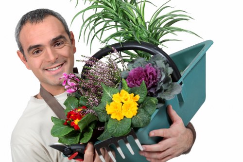 Seasonal plant and border care in a Rainham garden