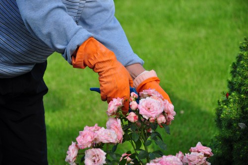 Seasonal lawn care in Rainham with grass feeding and repair work