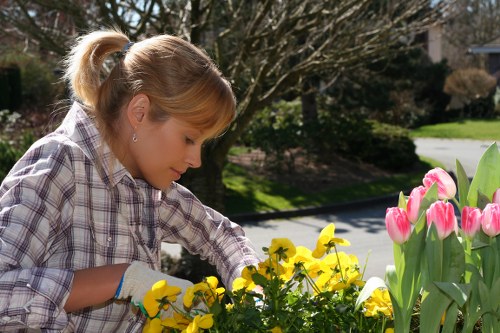 Drainage and planting design for a Rainham garden