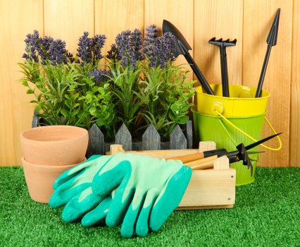 Year-round planting and garden design in Rainham
