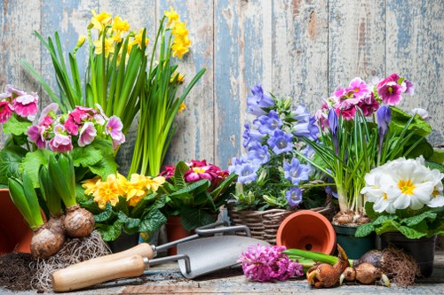 Screen-reader compatible gardening service content illustration